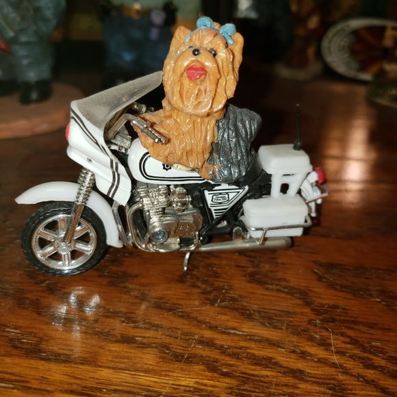 Other - Yorkie on bike